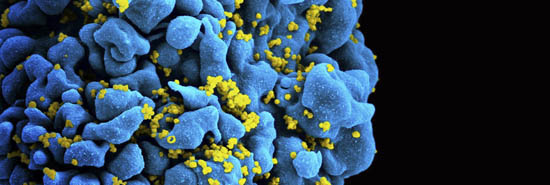 enhancing CAR T-cell therapy 