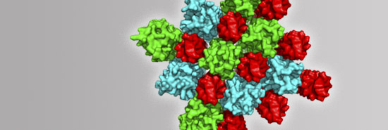 understand and control the body's autoimmune response