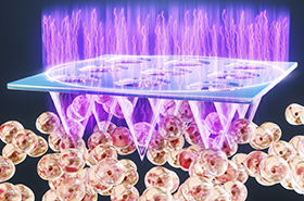 Cold plasma patch could make immunotherapy more effective for treating melanoma