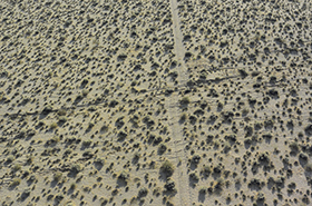 Scientists Scramble to Collect Data After Ridgecrest Earthquakes