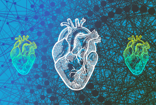 We are developing a new algorithm to predict life expectancy
