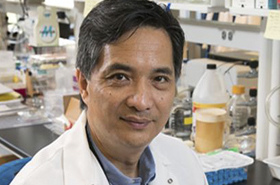 Bioengineering Chair Song Li Receives State Grant