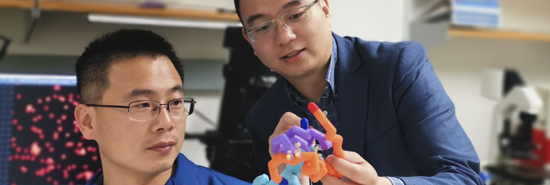 We’re revolutionizing diabetes care with our ‘smart insulin’