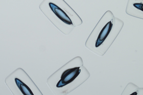 Tiny test tubes for parallel reactions