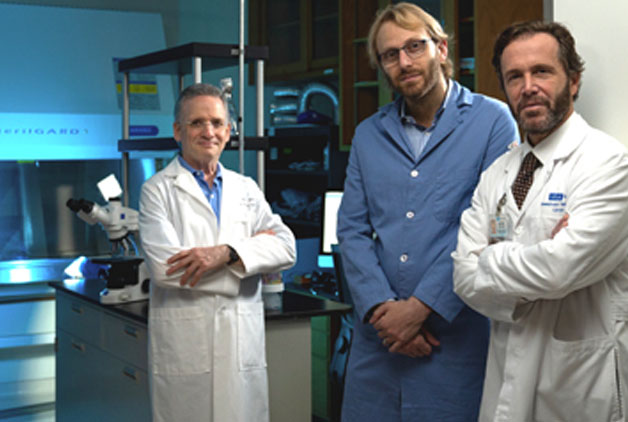 Accelerating the fight against cancer