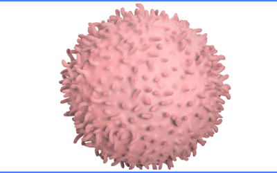 COVID-19 Viral Fragments Shown to Target and Kill Specific Immune Cells in UCLA-Led Study