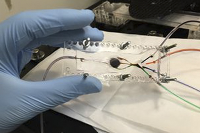 Micro- and Nanotechnologies for Medicine Workshop