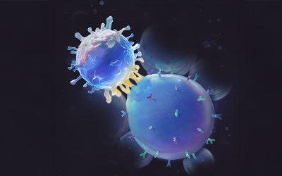 Researchers Develop Antigen-Mimicking Synthetic Cells to Improve T-Cell Activation