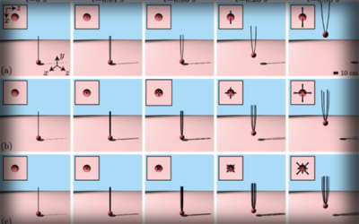 How Spiders Fly: Untangling the Mystery of Arachnids’ Electrically Charged Ability to Soar