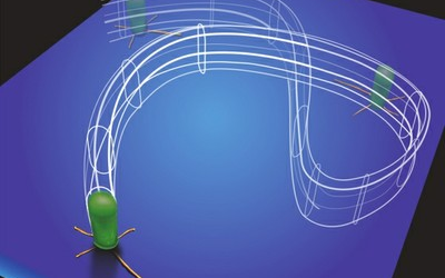 UCLA-led Research Team Finds that Bacteria Can Stand Up and Walk
