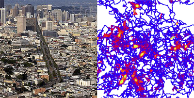 Study Finds Bacteria Organize According to ‘Rich-Get-Richer’ Principle