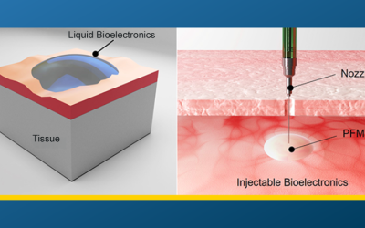 UCLA Engineers Discover Permanent Fluidic Magnets for Liquid Bioelectronics