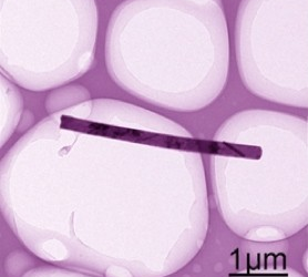 UCLA Engineering Advance with New Nanomaterials, Good News for Next-Generation Electronic Devices