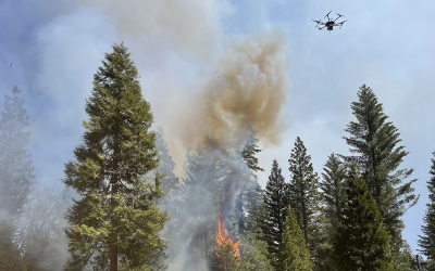UCLA Engineering Student Uses Drone Sensing in Prescribed Burns to Prevent Wildfires