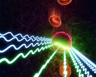 Researchers Develop New Type of Fluorescent Camera for Blood Diagnostics, Brain Mapping
