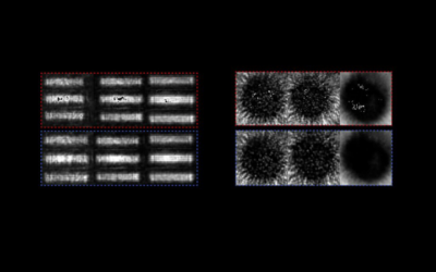 Biomedical Imaging, Autonomous Vehicle Sensors May Get Boost from AI Designed for Physical Signals