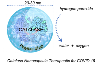 Common Antioxidant Enzyme May Provide Potential Treatment for COVID-19