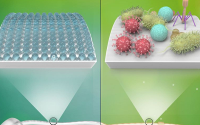 Scientists Devise Method to Prevent Deadly Hospital Infections without Antibiotics