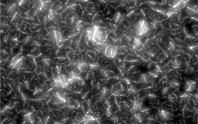 DNA Nanotechnology Creates Dynamic Cytoskeleton for Artificial Cells