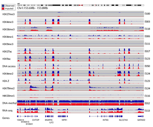 UCLA, MIT Computational Biologists Fill In Knowledge Gap for Epigenomics Maps