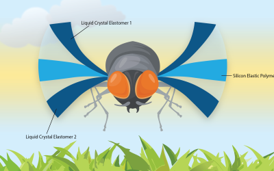 Flapping Oscillatory Soft Robot Mimics Flying Insect