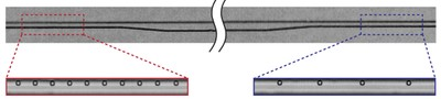 UCLA Bioengineers Discover How Particles Self-Assemble in Flowing Fluids