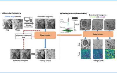 Self-Supervised AI Learns Physics to Reconstruct Microscopic Images from Holograms