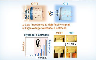 New Flexible Polymer Hydrogel Electrode Makes for Improved Bioelectronics