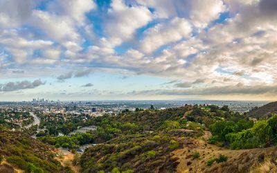 UCLA Engineers among Sustainable LA Grand Challenge Award recipients