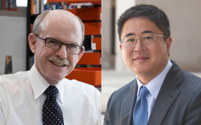 UCLA, Japanese scientists discover new way to speed up chemical reactions