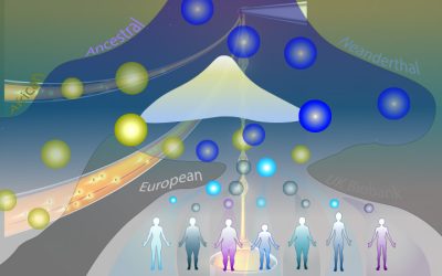UCLA-Led Team Finds Lingering Effects of Neanderthal DNA in Modern Humans