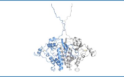 New Enzyme Uses Copper to Catalyze Halogenation Reactions
