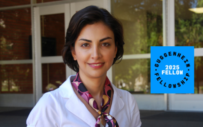 UCLA Electrical and Computer Engineer Mona Jarrahi Named Guggenheim Fellow