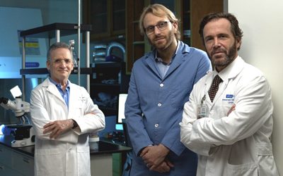 UCLA researchers develop mechanism for characterizing function of rare tumor cells