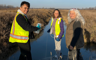 UCLA Engineering Class Publishes Research on E. coli in Water Near Farms