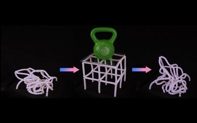Engineers Make Tunable, Shape-Changing Metamaterial Inspired by Vintage Toys