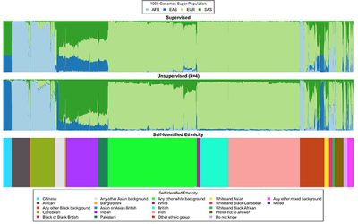 UCLA Scientists Develop New Algorithms to Study Genomic Data