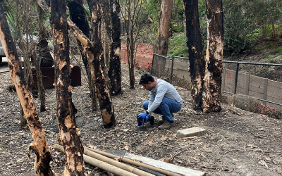 UCLA Samueli Faculty Aid LA Wildfire Recovery, Address Post-Fire Hazards
