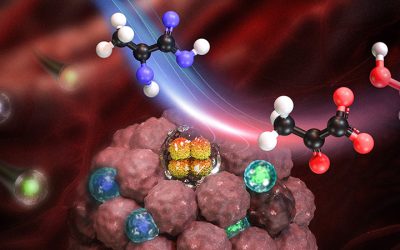 Drug-Filled Nanocapsule Helps Make Immunotherapy More Effective