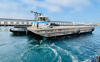 UCLA Institute for Carbon Management to Unveil Seawater-based Carbon Removal Pilot Systems in Los Angeles and Singapore