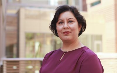 Civil and environmental engineering professor receives major international honor
