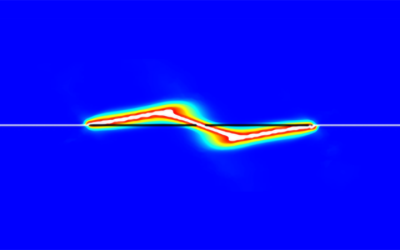 Liquid Crystal Elastomer Used in Soft Robots Can Fracture and Change Direction Unexpectedly