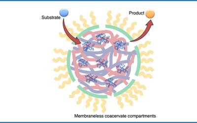 National Science Foundation Awards Nearly $2M to UCLA for Cell-Free Biomanufacturing Initiative