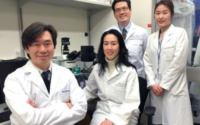 Mice headed for space to test bone-building drug developed by UCLA team