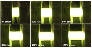 UCLA Engineers Develop a Stretchable, Foldable Transparent Electronic Display