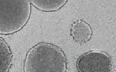 3D Printing In Vivo Using Sound