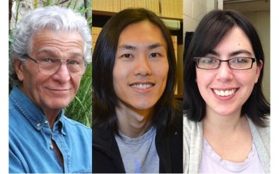 Researchers develop open-source program for analyzing thyroid health
