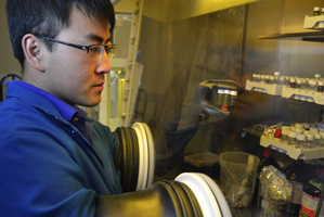 Researchers Identify Keys to Improved Polymer Solar Cells