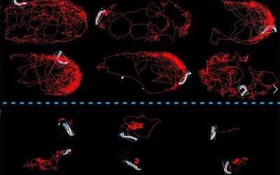 Supercharged AI optimizes drugs to combat common agriculture parasites