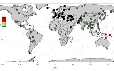Ancient human relative interbred with ancestors of modern humans as recently as 50,000 years ago